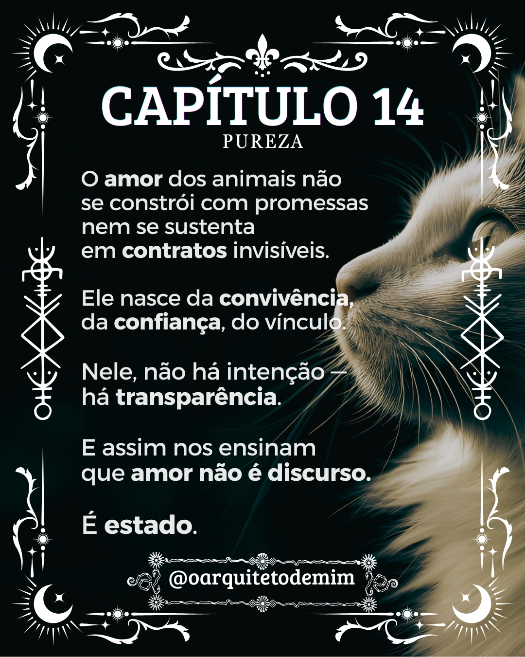 Capítulo 14 — Pureza